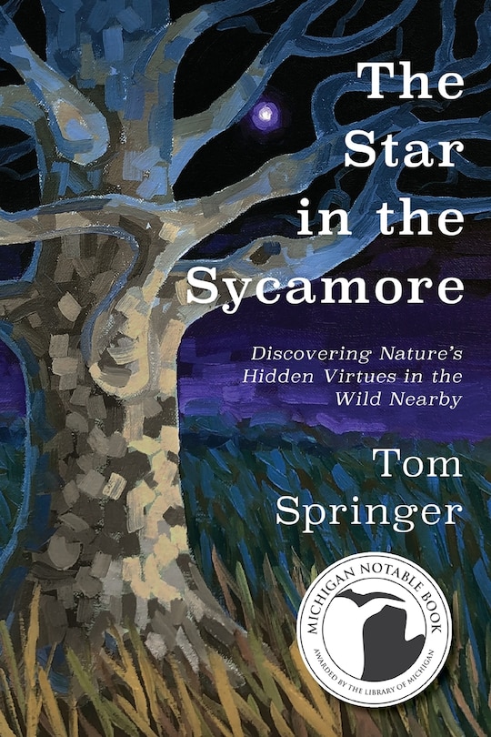 Couverture_The Star in the Sycamore