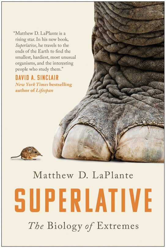 Front cover_Superlative