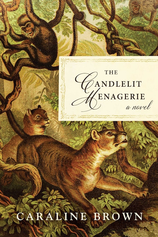 Front cover_The Candlelit Menagerie