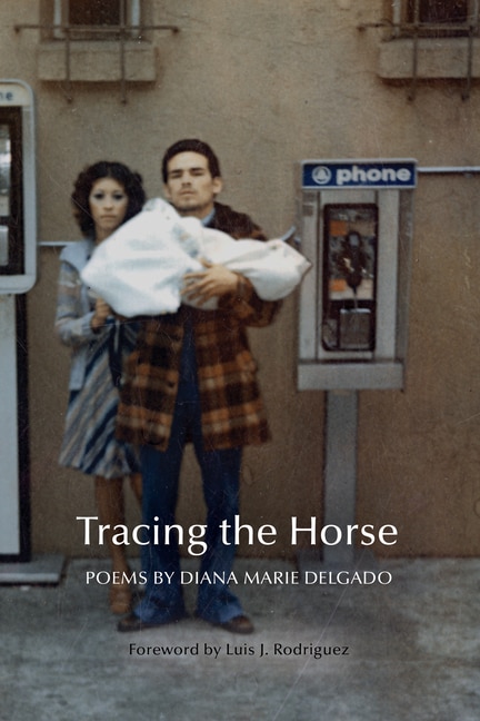 Couverture_Tracing the Horse