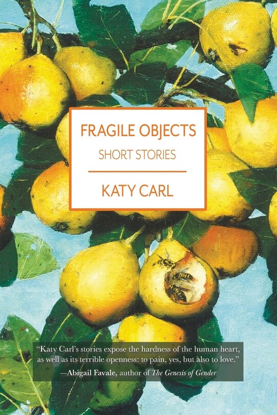 Front cover_Fragile Objects