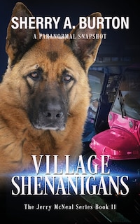 Couverture_Village Shenanigans