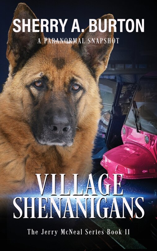 Couverture_Village Shenanigans