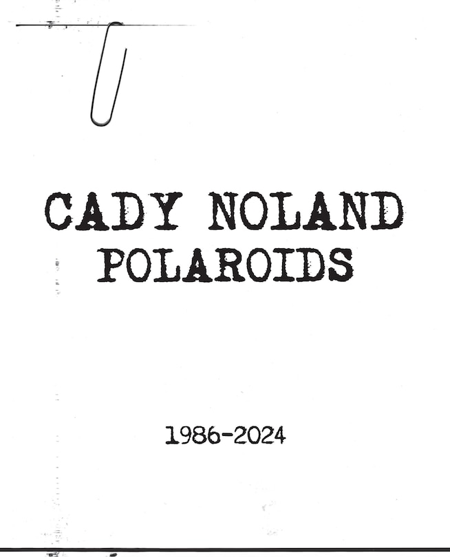 Front cover_Cady Noland