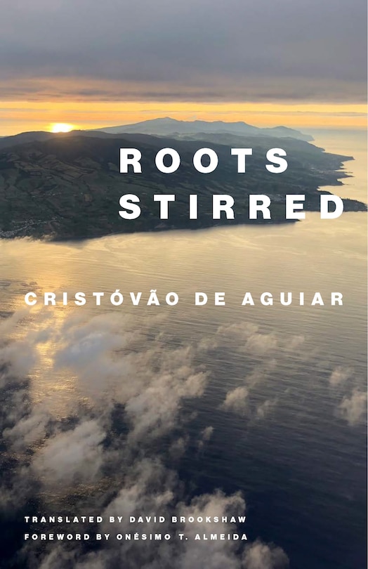 Couverture_Roots Stirred