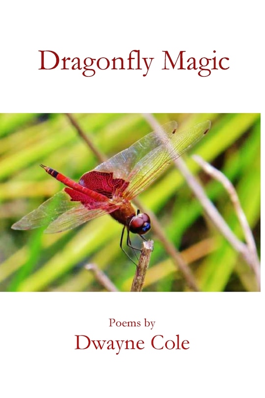 Couverture_Dragonfly Magic