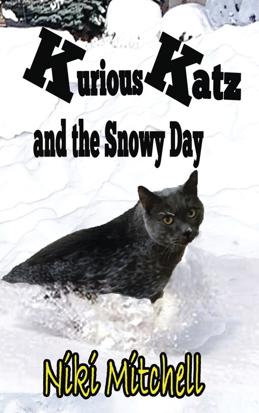 Front cover_Kurious Katz and the Snowy Day
