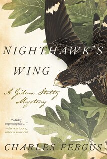 Couverture_Nighthawk's Wing