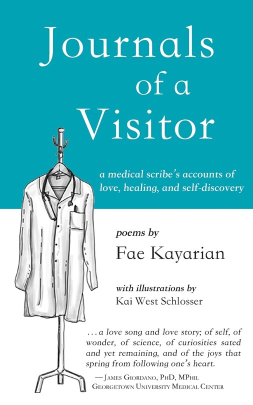 Front cover_Journals of a Visitor