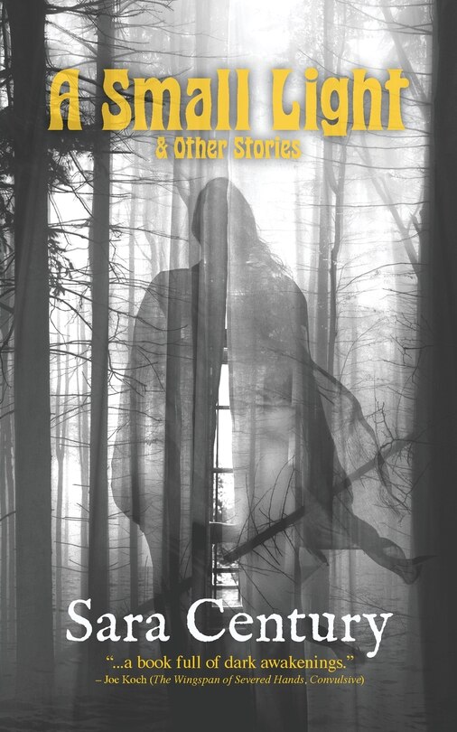 Front cover_A Small Light & Other Stories