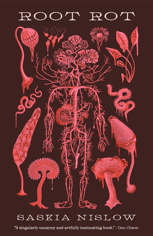 Front cover_Root Rot