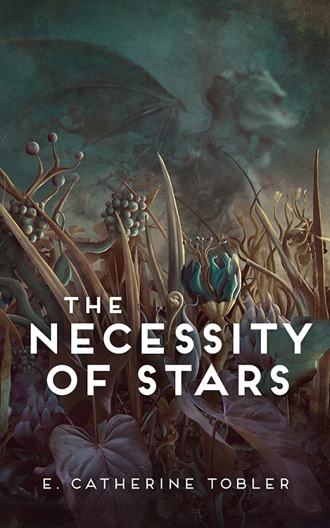 Front cover_The Necessity of Stars