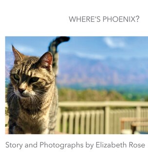 Couverture_Where's Phoenix?