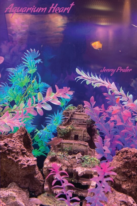 Front cover_Aquarium Heart
