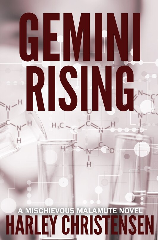 Couverture_Gemini Rising