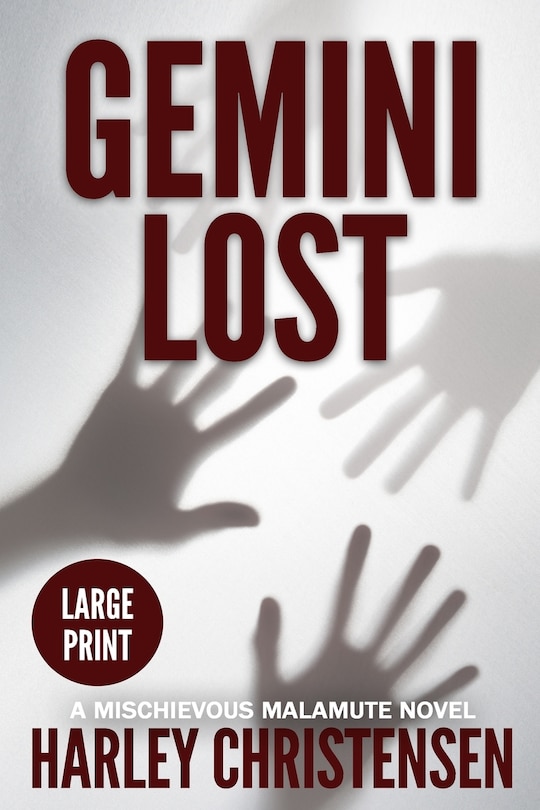 Couverture_Gemini Lost