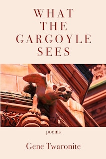 Couverture_What the Gargoyle Sees