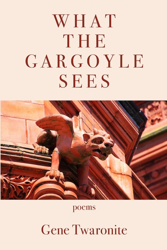 Couverture_What the Gargoyle Sees