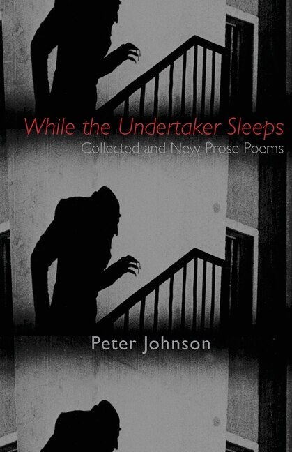 Front cover_While the Undertaker Sleeps