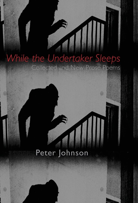 Front cover_While the Undertaker Sleeps