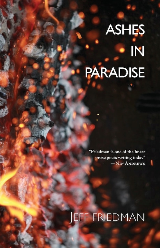 Front cover_Ashes in Paradise