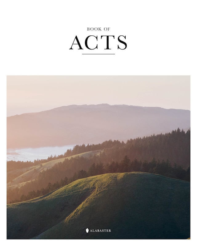 Couverture_Book of Acts (HC,NLT)
