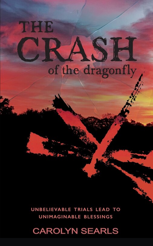 Couverture_The Crash of the Dragonfly