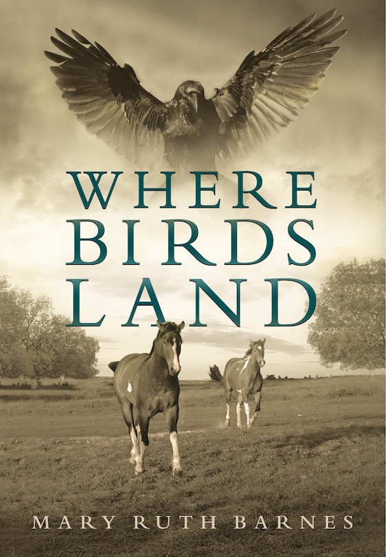 Front cover_Where Birds Land