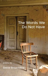 Front cover_The Words We Do Not Have