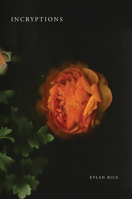 Front cover_Incryptions