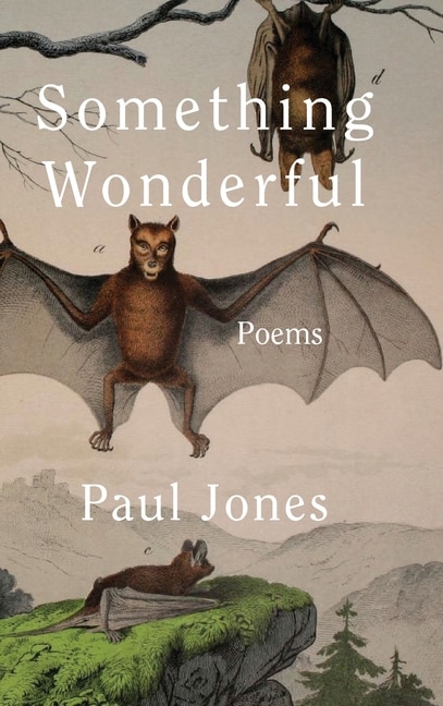 Front cover_Something Wonderful