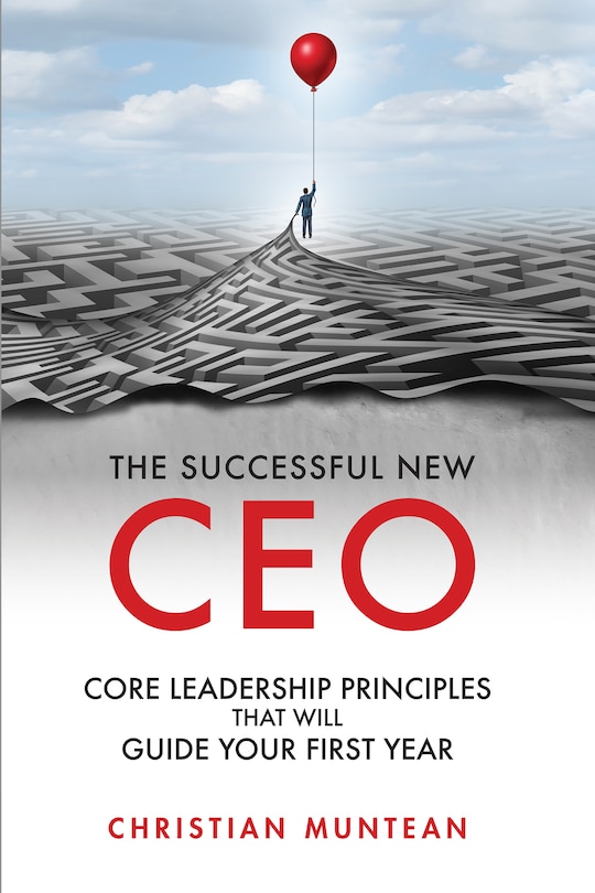 Couverture_The Successful New Ceo