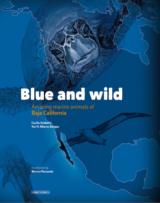 Front cover_Blue and Wild: Amazing Marine Animals of Baja California