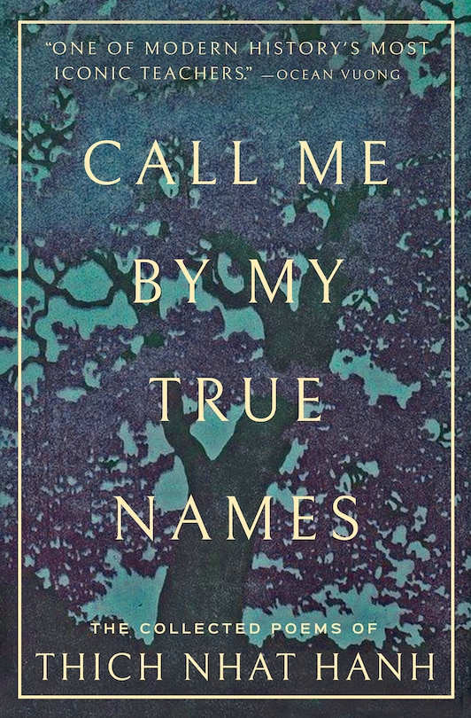 Couverture_Call Me By My True Names