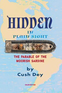 Front cover_Hidden in Plain Sight
