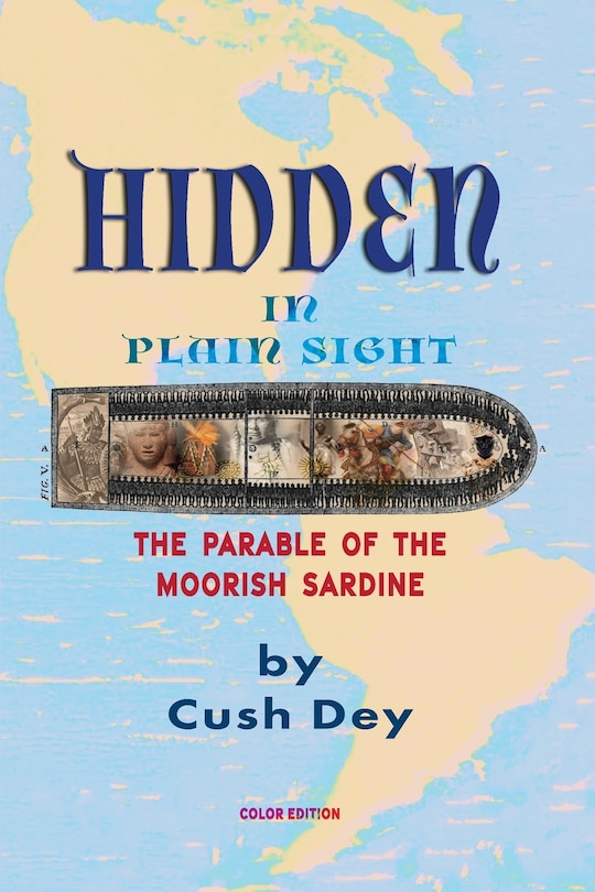 Front cover_Hidden in Plain Sight