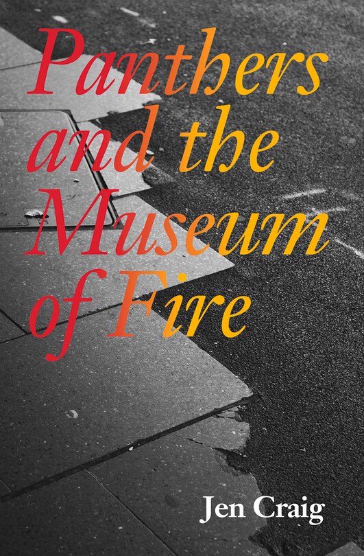 Front cover_Panthers And The Museum Of Fire