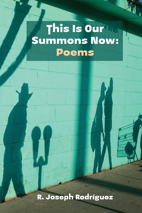 Front cover_This Is Our Summons Now