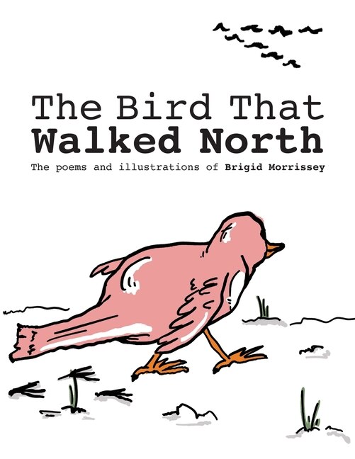 Front cover_The Bird That Walked North
