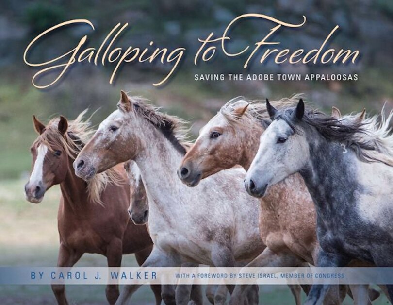 Galloping To Freedom: Saving The Adobe Town Appaloosas