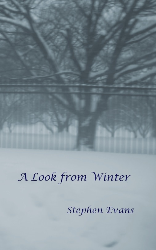 Front cover_A Look From Winter