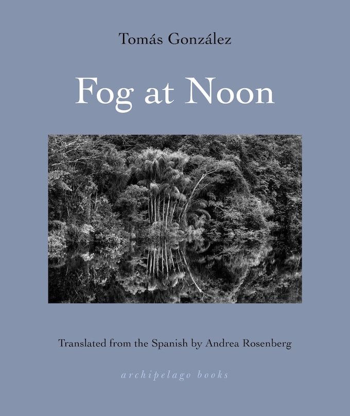 Couverture_Fog at Noon