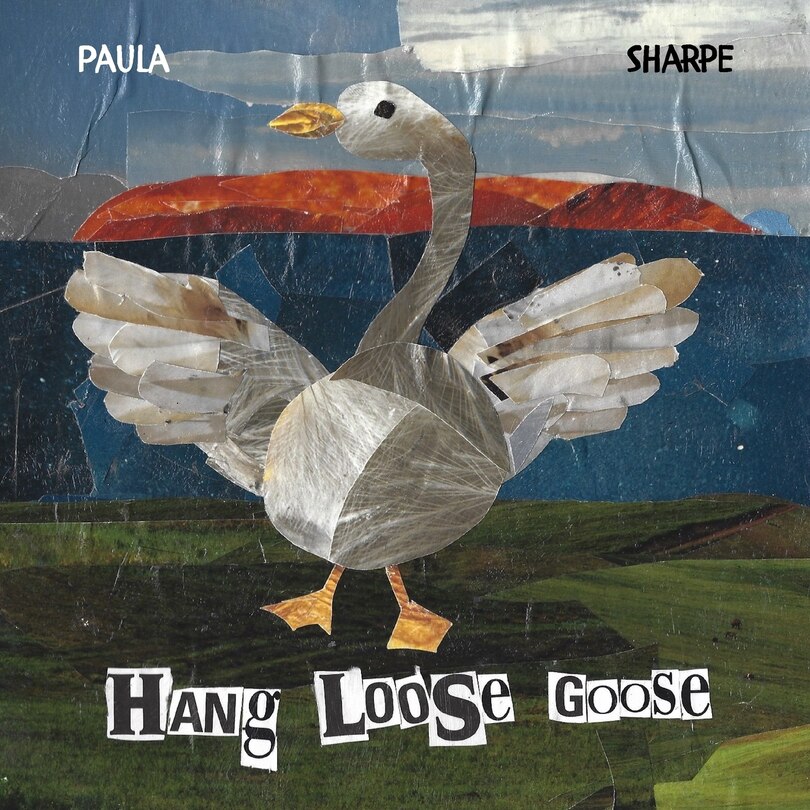 Couverture_Hang Loose Goose