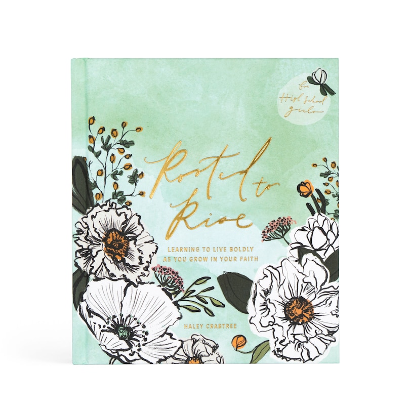 Front cover_Rooted To Rise