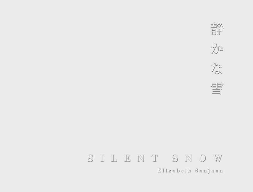 Front cover_Silent Snow