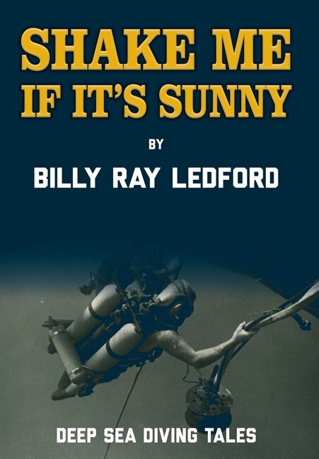 Couverture_Shake Me If It's Sunny