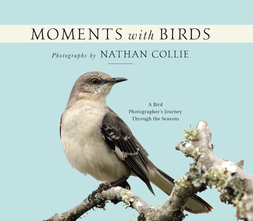 Front cover_Moments With Birds