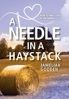 Couverture_A Needle In A Haystack