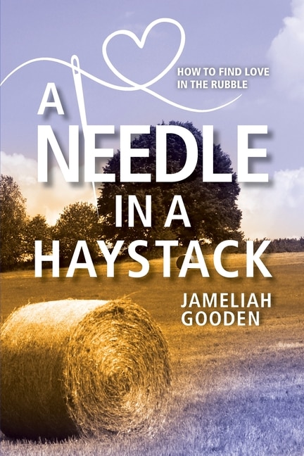 Couverture_A Needle In A Haystack
