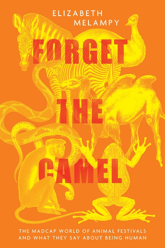 Front cover_Forget the Camel